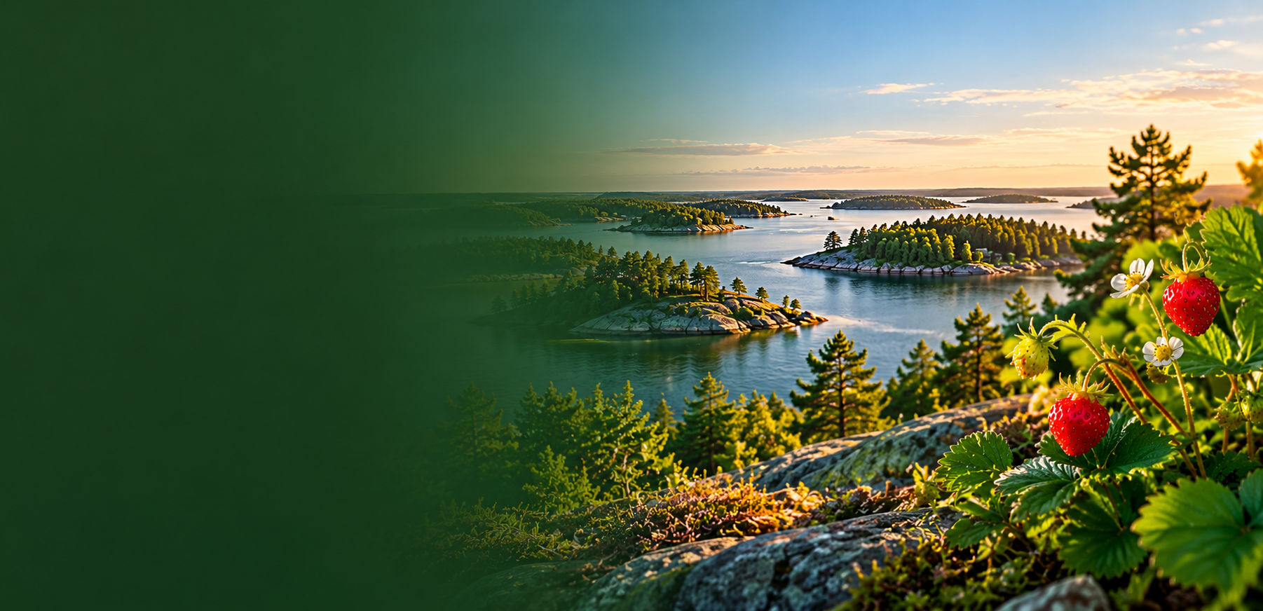 Svensk skärgård med grönska och smultron