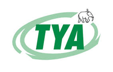 TYA